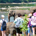 7 வருடங்களுக்கு பின்னர் அதிக சுற்றுலாப் பயணிகள் வருகை