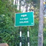 வெப்ப அலை: கலஹாவில் 11 மாணவர்கள் பாதிப்பு!