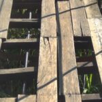 புனரமைக்கப்படுமா தொங்கு பாலம்?