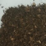 யாழில் கஞ்சாவுடன் இருவர் கைது!