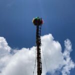 60 அடி கம்பத்தில் இருந்து தவறி விழுந்து நாடக கலைஞர் பலி: நானுஓயாவில் துயரம்!