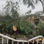 மரம் முறிந்து விழுந்து போக்குவரத்து பாதிப்பு!