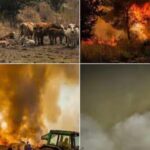 ஜெருசலேம் அருகே காட்டுத்தீ: இஸ்ரேல் தேசிய அவசர நிலை அறிவிப்பு!