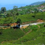 மலையகத்தில் விபத்துகளை கட்டுப்படுத்த பாதுகாப்பு வேலி!