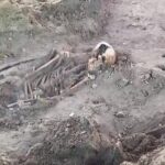 யாழ். செம்மணியில் மேலும் 3 மனித எலும்புக் கூட்டுத் தொகுதி அடையாளம்