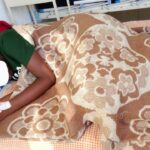 வாய் தாடை உடையும் அளவுக்கு மாணவியை தாக்கிய ஆசிரியர்: அக்கரப்பத்தனை பகுதியில் கொடூரம்!