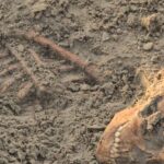 செம்மணிப் புதைகுழியில் 7 எலும்புக்கூடுகள் மீட்பு!