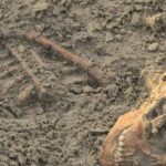 செம்மணி மனிதப் புதைகுழியில் மேலும் 6 எலும்புக்கூடுகள் மீட்பு