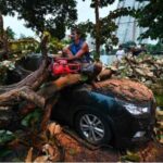 அபாயகரமான மரங்களை அகற்ற 5 குழுக்கள்!