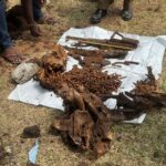 வவுனியாவில் தனியார் காணியில் இருந்து இரண்டு துப்பாக்கிகளும் ரவைகளும் மீட்பு!