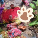 பங்களாவுக்குள் பெண் கழுத்தறுத்துக் கொலை: நாவலப்பிட்டியவில் பயங்கரம்!