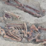 செம்மணியில் 65 எலும்புக் தொகுதிகள் முழுமையாக அகழ்வு: 21 ஆம் திகதி பணி மீள ஆரம்பம்!