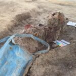 செம்மணி புதைகுழியில் இரு சிறார்களின் எலும்புக்கூடுகள் அகழ்ந்தெடுப்பு!