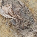 செம்மணிப் புதைகுழிக்குள் பாலூட்டும் போத்தல்