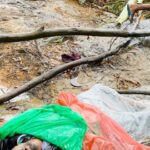 மரக்கிளை முறிந்து விழுந்து இளம் குடும்பஸ்தர் பலி: மஸ்கெலியாவில் சோகம்!