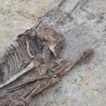 செம்மணியில் மேலும் 7 எலும்புக் கூட்டு தொகுதிகள் அடையாளம்!