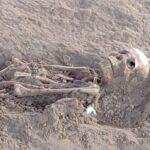 செம்மணி புதைகுழியில் இதுவரை 40 மனித என்புத்தொகுதிகள் அடையாளம்!