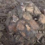 செம்மணியில் மேலும் இரு சிறுவர்களின் என்புத் தொகுதிகள் அடையாளம்