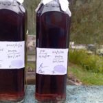 லிந்துலையில் டீசலுடன் மண்ணெண்ணெய் கலந்த சாரதி கைது!