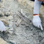 செம்மணி மனிதப் புதைகுழியில் இதுவரை 54 சான்றுப்பொருட்கள்