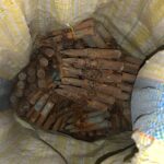 கொடிகாமத்தில் வெடிக்காத நிலையில் பெருமளவான துப்பாக்கி ரவைகள் மீட்பு!