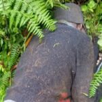 லிந்துலையில் காணாமல்போன குடும்பஸ்தர் சடலமாக மீட்பு!