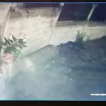 தலவாக்கலை சென். கூம்ஸ் தோட்ட மக்களை கிலிகொள்ள வைத்துள்ள சிறுத்தை!