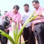 வடக்கின் முதல் விதை தேங்காய் உற்பத்தி அலகு பளை நகரில் திறந்து வைப்பு