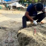 செம்மணியில் மேலும் 9 எலும்புக்கூடுகள் அடையாளம்!