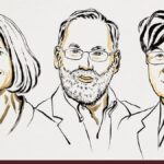 அமெரிக்க, ஜப்பான் விஞ்ஞானிகள் மூவருக்கு மருத்துவ நோபல் பரிசு அறிவிப்பு