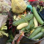 மிகை உற்பத்தியால் குப்பைத் தொட்டிகளுக்குள் செல்லும் மரக்கறி: விலை வீழ்ச்சியால் விவசாயிகள் பாதிப்பு!