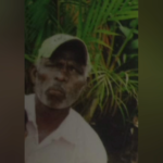 குளவிக்கொட்டுக்கு இலக்காகி வயோதிபர் பலி: பொகவந்தலாவையில் சோகம்!