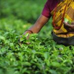 ரூ. 1700 நிச்சயம் கிடைக்கும்: ஓரிரு வாரங்களுக்குள் பேச்சு!