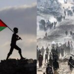 காசாவில் நிலவளத்தை மீட்டெடுக்க 25 ஆண்டுகள் செல்லும்: ஐ.நா. மதிப்பீடு!