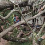 அனர்த்தம்!