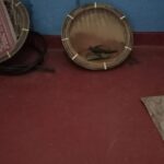 சட்டவிரோதமாக மாணிக்கக்கல் அகழ்வில் ஈடுபட்ட இருவர் மஸ்கெலியா பொலிஸாரால் கைது!