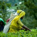 ரூ. 200: 25 நாட்கள் வேலைக்கு வரவேண்டும் என கட்டாய நிபந்தனை இல்லை!