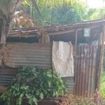 புப்புரஸ்ஸையில் ஆடுகள் கொள்ளை!