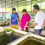 வடக்கில் அலங்கார மீன் உற்பத்தி: சாத்தியப்பாடு குறித்து ஆராய்வு!