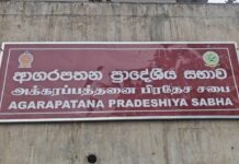 அக்கரப்பத்தனை பிரதேச சபையின் வரவு–செலவுத் திட்டம் தோல்வி