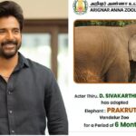 யானையைத் தத்தெடுத்த சிவகார்த்திகேயன்