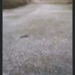 நுவரெலியாவில் கடும் குளிர் காலநிலை!