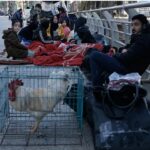 லெபனான் மீது இஸ்ரேல் வான்வழித் தாக்குதல்: 31 பேர் பலி!