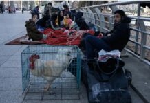 லெபனான் மீது இஸ்ரேல் வான்வழித் தாக்குதல்: 31 பேர் பலி!