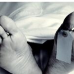 பாம்பு தீண்டி அரச அதிகாரி பலி: மல்லாவியில் சோகம்!