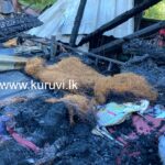 3 லயன் அறைகள் தீக்கிரை: 12 பேர் நிர்க்கதி!