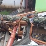 மரம் முறிந்து விழுந்ததால் குடியிருப்புகளுக்கு சேதம்!