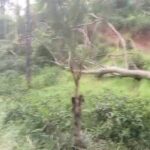 நுவரெலியாவில் அடை மழை: மக்களின் இயல்பு வாழ்க்கை பாதிப்பு!