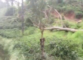 நுவரெலியாவில் அடை மழை: மக்களின் இயல்பு வாழ்க்கை பாதிப்பு!