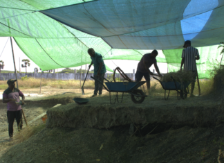 செம்மணி மனிதப் புதைகுழி: 3 ஆம் கட்ட அகழ்வு ஆரம்பம்!